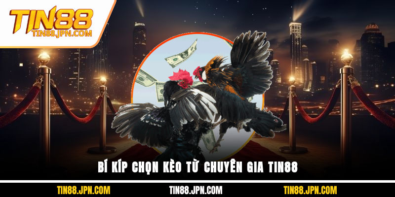Bí kíp chọn kèo từ chuyên gia Tin88
