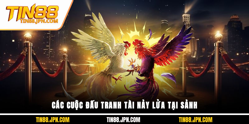 Các cuộc đấu tranh tài nảy lửa tại sảnh