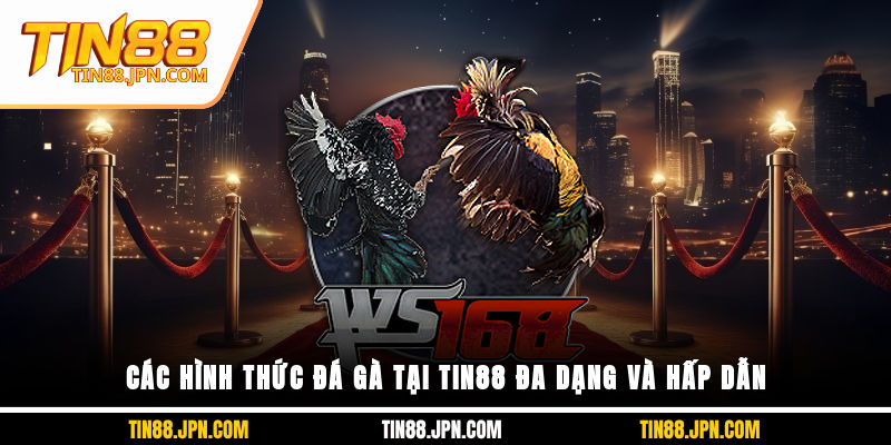 Các hình thức đá gà tại Tin88 đa dạng và hấp dẫn