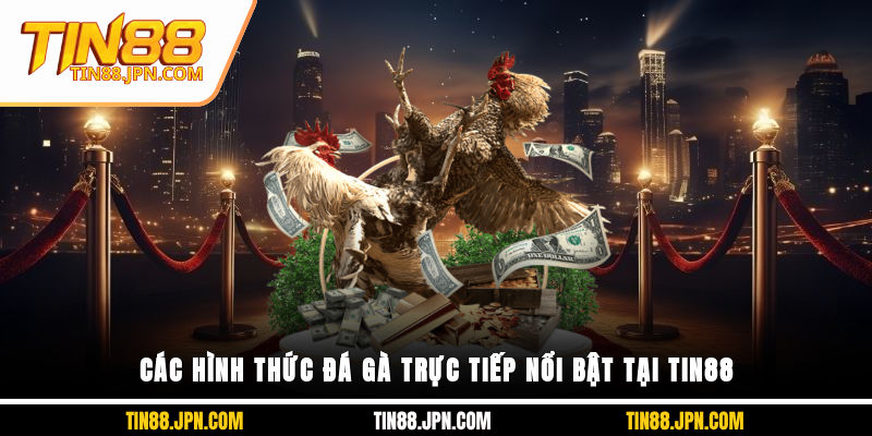 Các hình thức đá gà trực tiếp nổi bật tại Tin88