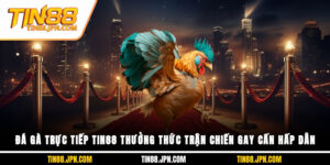 đá gà trực tiếp