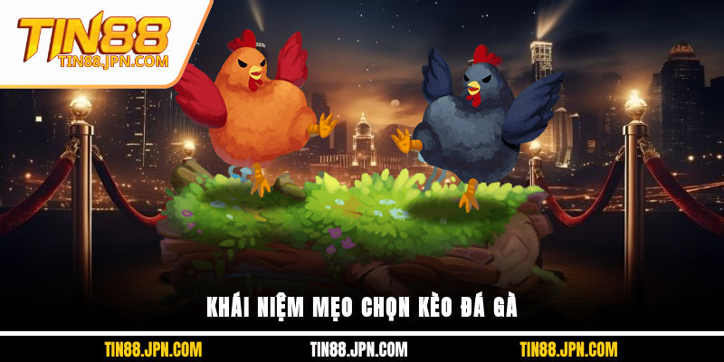 Khái niệm mẹo chọn kèo đá gà