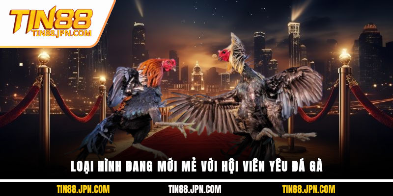 Loại hình đang mới mẻ với hội viên yêu đá gà