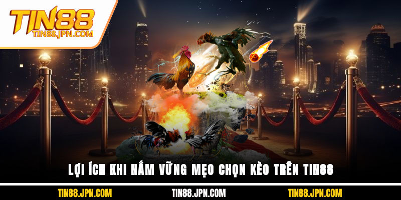 Lợi ích khi nắm vững mẹo chọn kèo trên Tin88