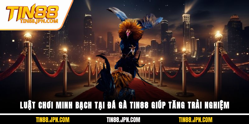 Luật chơi minh bạch tại đá gà Tin88 giúp tăng trải nghiệm