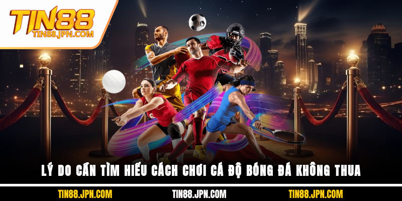 Lý do cần tìm hiểu cách chơi cá độ bóng đá không thua