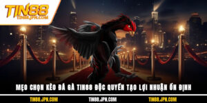 mẹo chọn kèo đá gà