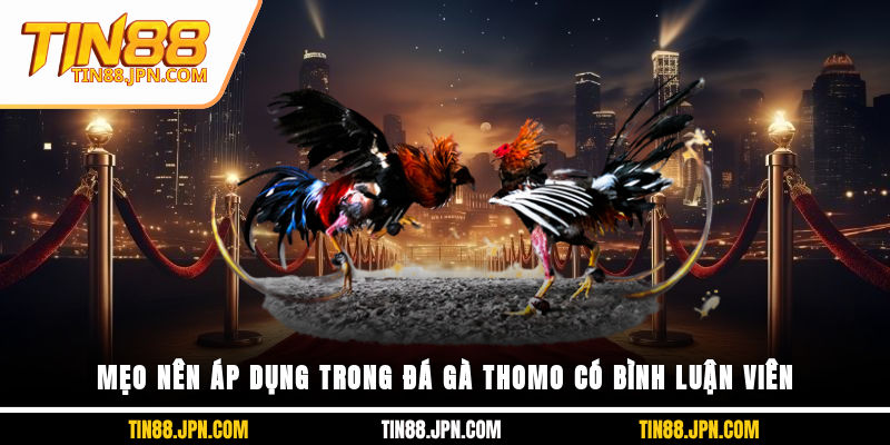 Mẹo nên áp dụng trong đá gà Thomo có bình luận viên