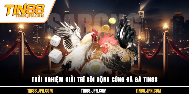 Trải nghiệm giải trí sôi động cùng đá gà Tin88